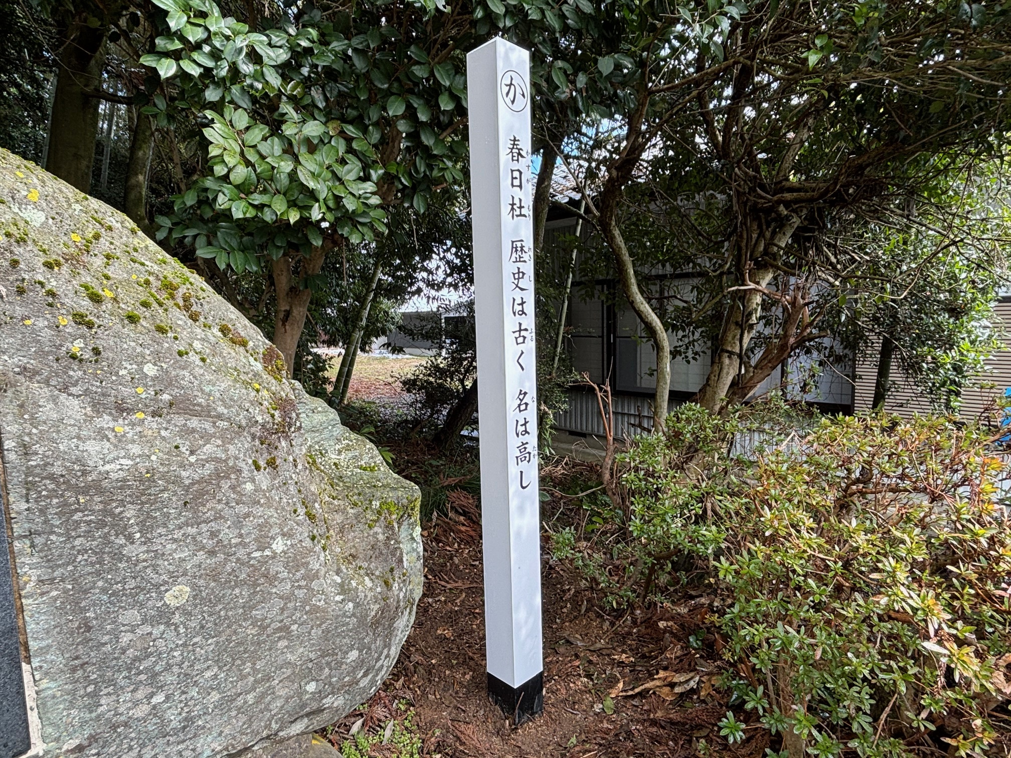 ɸ